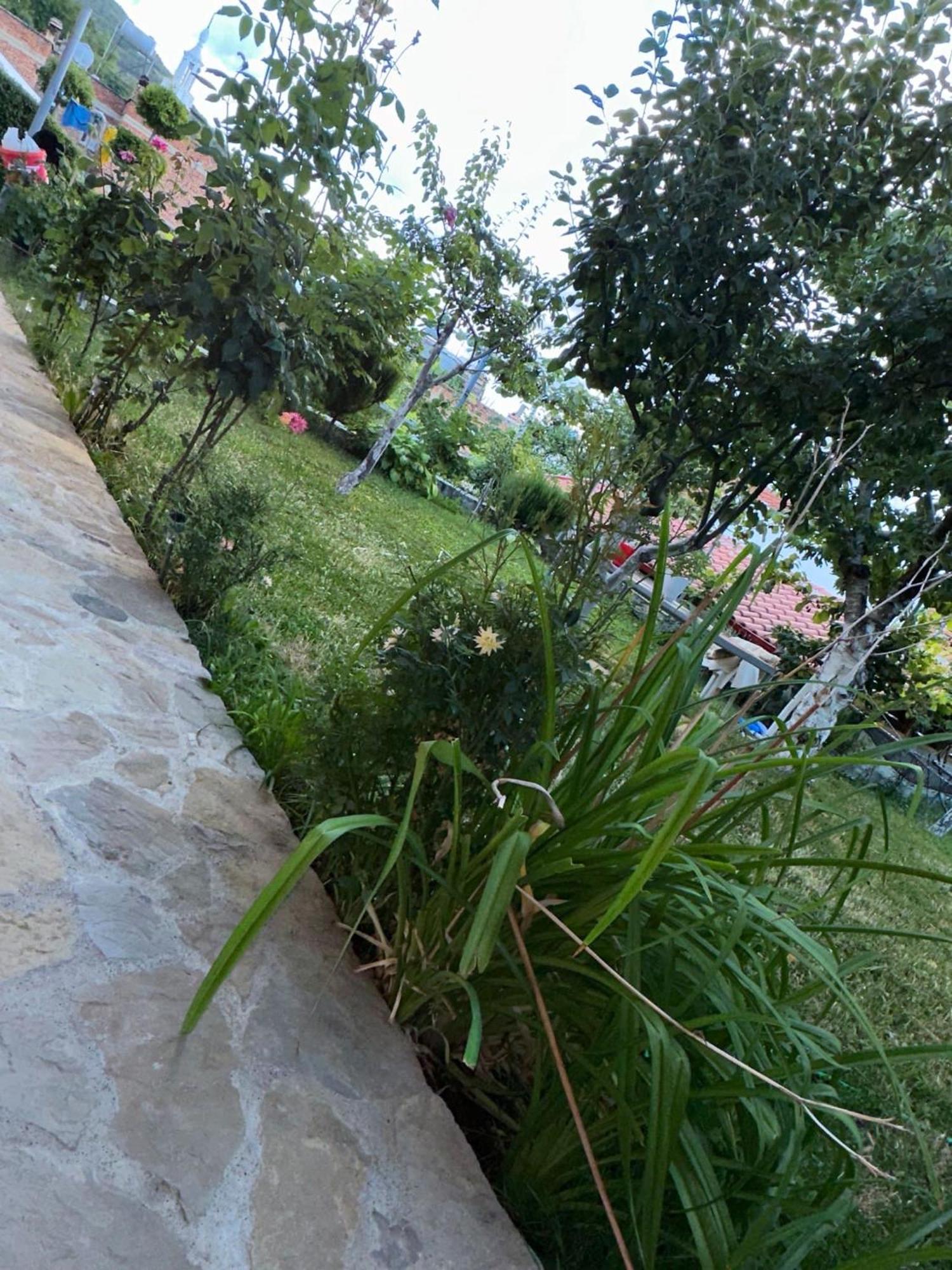 MemlishteGardenhouse别墅 外观 照片