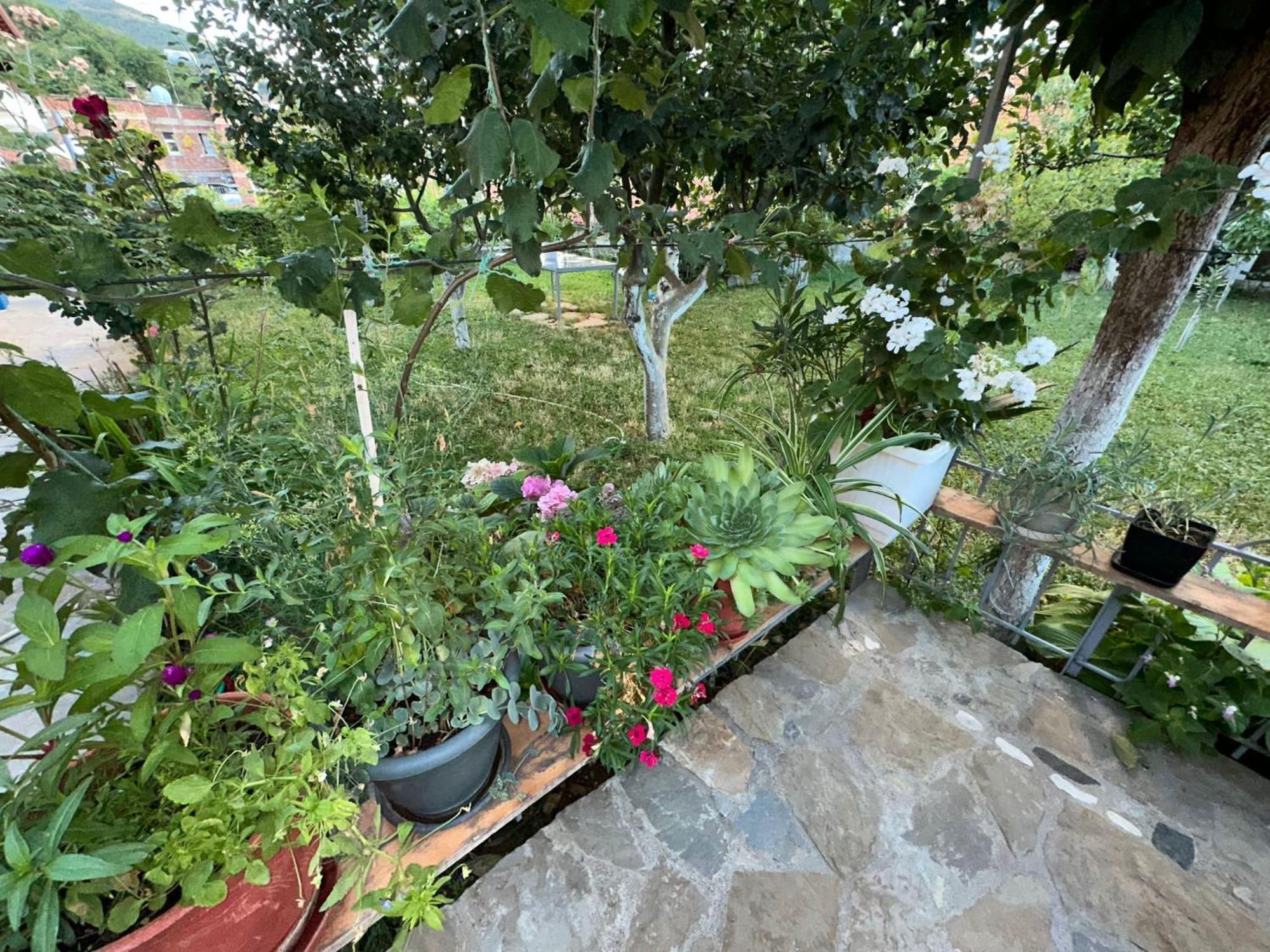 MemlishteGardenhouse别墅 外观 照片